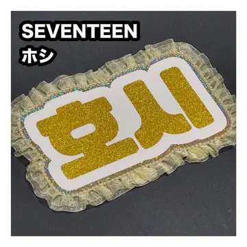 호시 SEVENTEEN 세부치 네임 보드 부채 문자 네무보