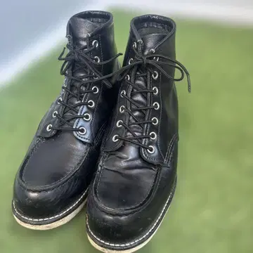 레드윙 프릭스 스토어 아이리쉬 세터 26.5cm