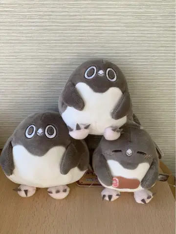 익명 배송 허무 아델리 손바닥 마슈모찌 3점