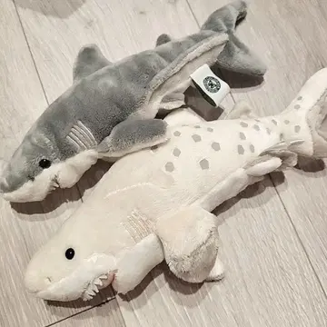 카로라타 상어 봉제 인형 2개 세트 수족관