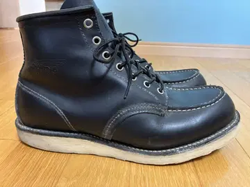 RED WING 아이리쉬 세터