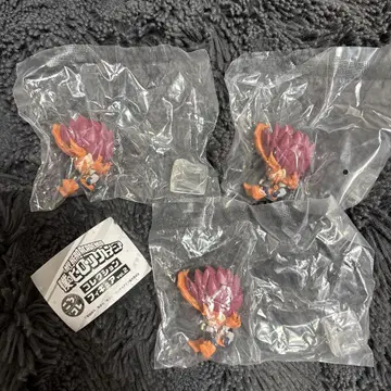 히로아카 엔데버 코로코레