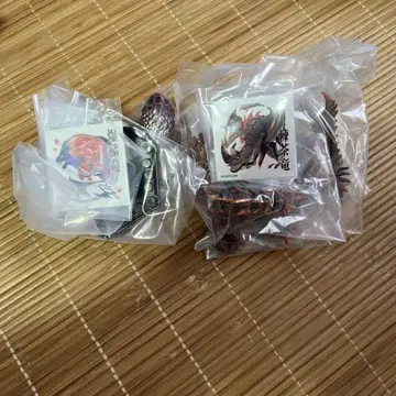 홍련 끓어오르는 바젤기우스 에스피나스 아종 세트