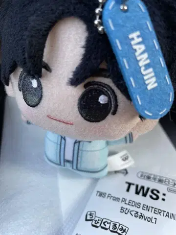 HANJIN 한진 SD 인형 TWS 투아스