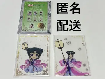 약사의 혼잣말 월정 팝업 고양이 고양이