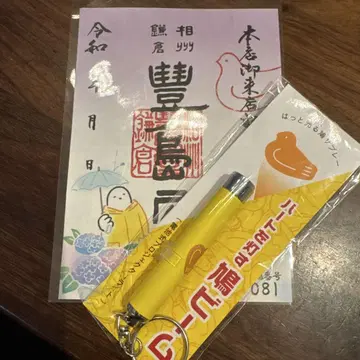 비둘기를 밝히는 비둘기 빔
