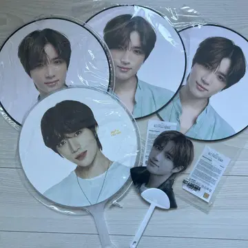 txt 봄규 부채 세트 묶음 판매