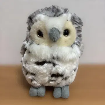 올빼미 봉제 인형