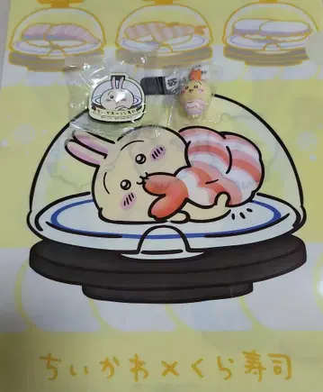 치이카와 쿠라스시  토끼