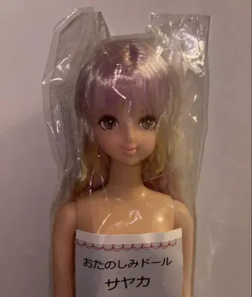 리카짱 캐슬 사야카
