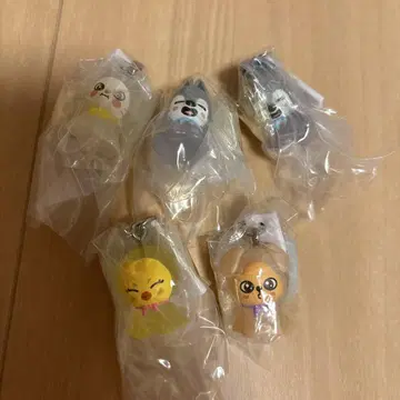 SKZOO 키링 5개 세트