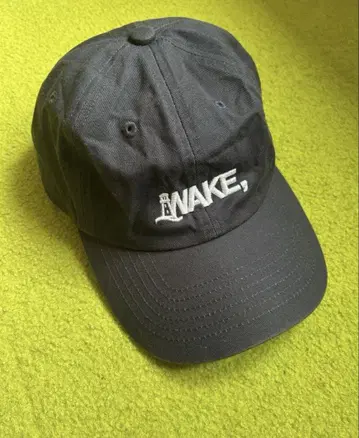 wake sapporo 캡 alwayth