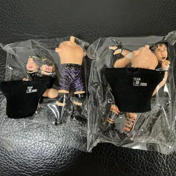신일본 프로레슬링 피규어 텐잔 히로요시 코지마 사토시 피규어