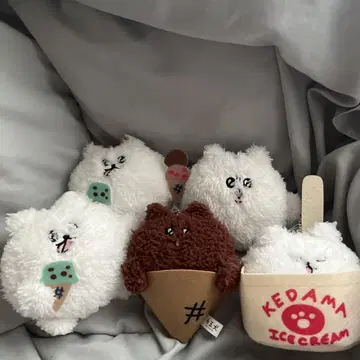 케다마이누 봉제 인형 5세트