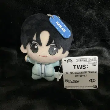 TWS SD 인형 한진