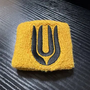 UNISON SQUARE GARDEN 리스트 밴드
