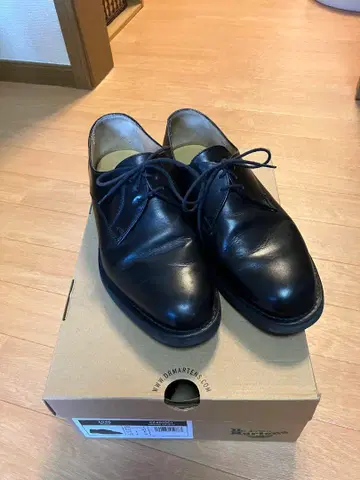 가죽 신발 프랑스 군