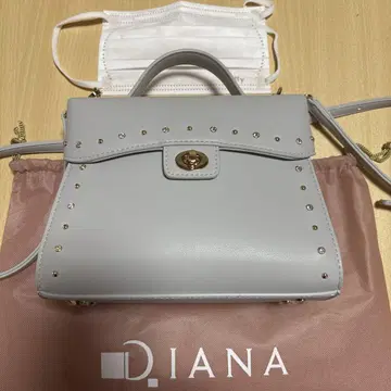 DIANA 스터드 그레이 숄더백