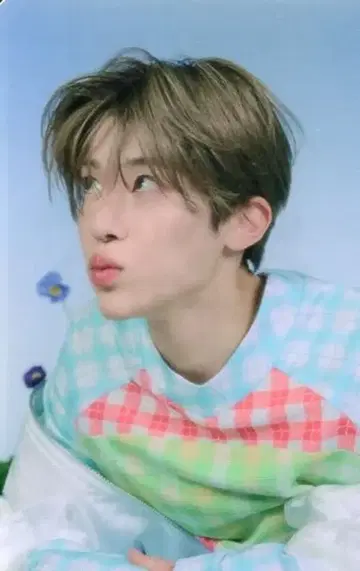 NCT WISH mu-mo SION 송버드