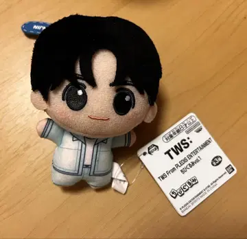 TWS SD 인형 vol.1 HANJIN