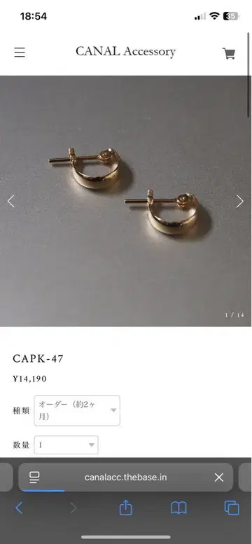 CAPK-47 귀걸이 캐널 액세서리 canalaccessory
