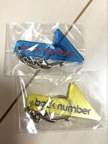 백넘버 키링 backnumber