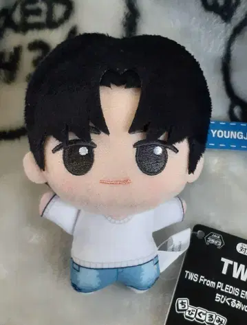 TWS SD 인형 vol.2 영재 남코 한정 봉제 인형