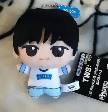 TWS SD 인형 vol.2 도훈 남코 한정판 봉제 인형