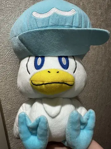 포켓몬스터 쿠와스 봉제 인형