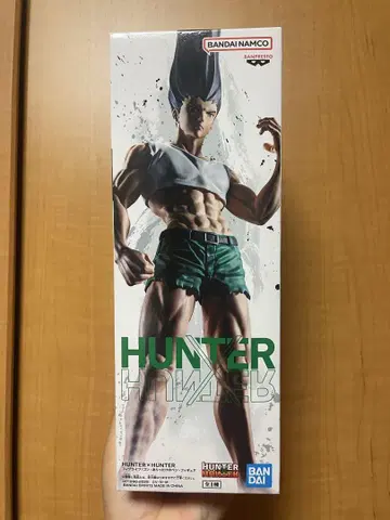헌터 헌터 곤 프리크스 피규어