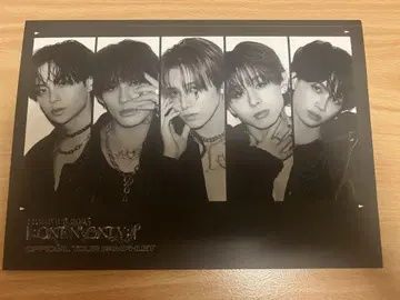 완엔 팜플렛