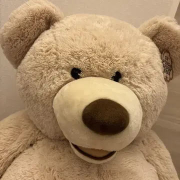 코스트코 곰 봉제 인형 53인치 135
