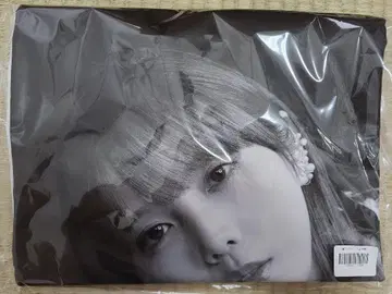 노기자카 mobile 노기 BOX 2024 S상 사진 T셔츠 요다 유키