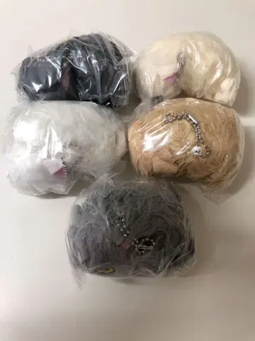 나츠카이 고양이 봉제 인형 컴플리트 가챠가챠