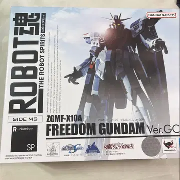 ROBOT혼 ZGMF-X10A 프리덤 건담 Ver.GCP