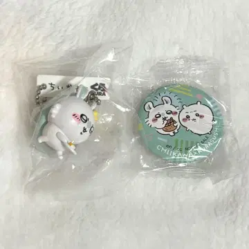 치이카와 쿠라스시 2023 벳쿠라폰 모몽가