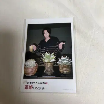 인스턴트 카메라풍 브로마이드 하지리코 이누카이 타카타케