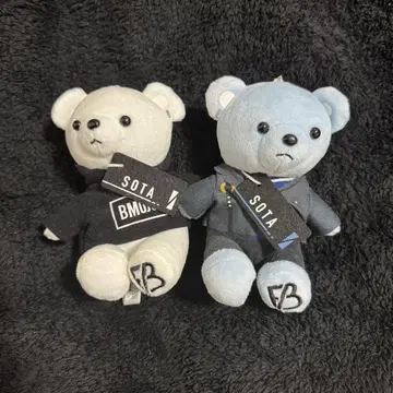 BEFIRST 곰 봉제 인형 SOTA