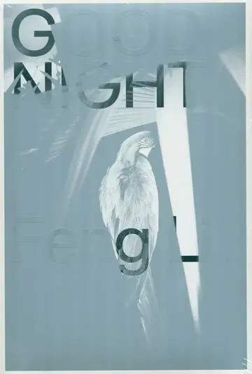 Feng Li Good Night