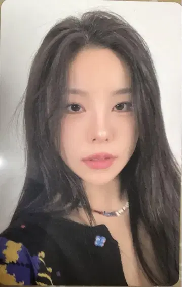 휘인 트레이딩 카드