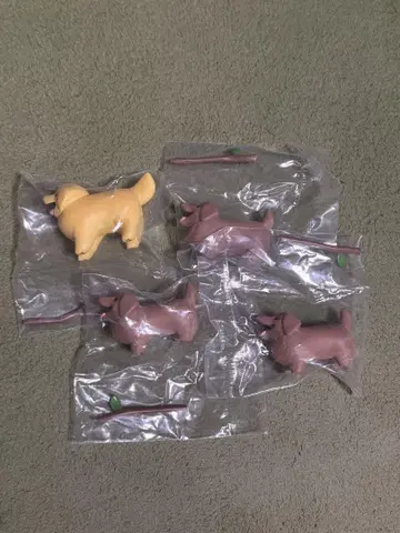 멋진 막대기를 겟한 강아지