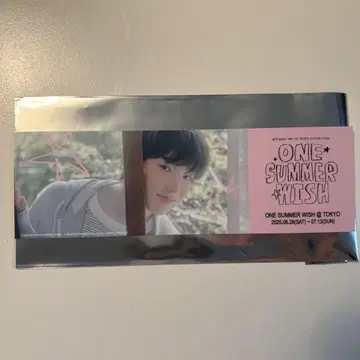 NCT WISH ONE SUMMER WISH 사쿠야