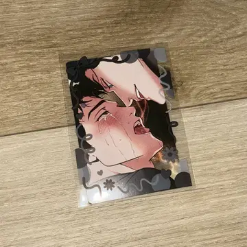 제물정주 레진 일본 한정판 트레이딩 카드 한국 BL