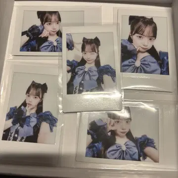 큐스토 마스다 아야노 온특 생일 폴라로이드 빙고 세트