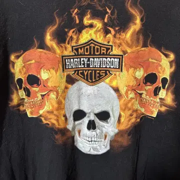 HARLEY-DAVIDSON 할리데이비슨 롱 T 프레임 스컬