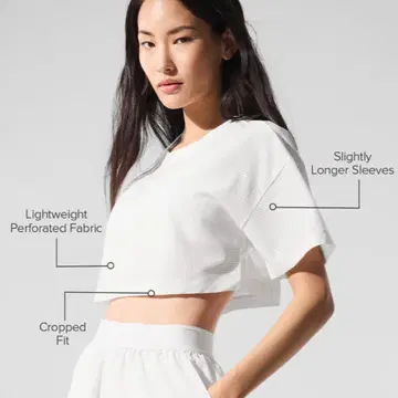 새상품급 alo Mesh Cropped Mirage Tee XS