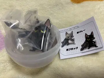 기동물 블랙 파일 뱅거 캣