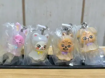 SKZOO 메지루시 액세서리