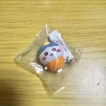 하치와레 피규어 쿠라스시