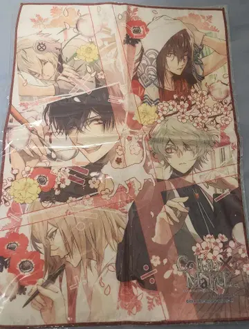 컬러 마리스 카라마리 오토메이트 포트레이트 타월